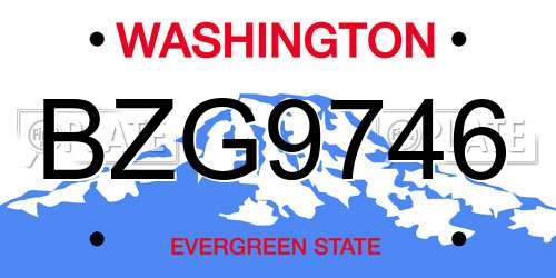 BZG9746 Washington License Plate