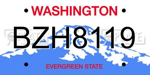 BZH8119 Washington License Plate