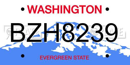 BZH8239 Washington License Plate
