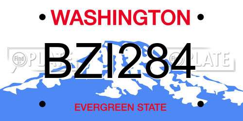 BZI284 Washington License Plate