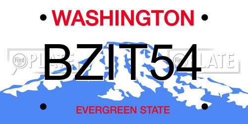 BZIT54 Washington License Plate