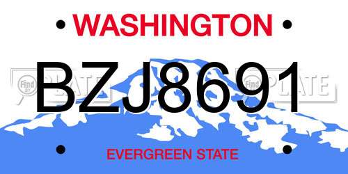 BZJ8691 Washington License Plate