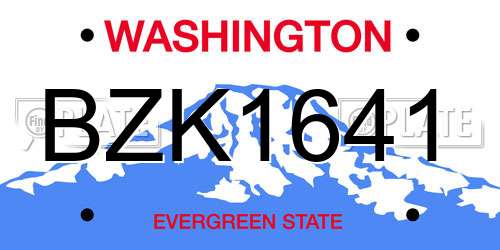 BZK1641 Washington License Plate