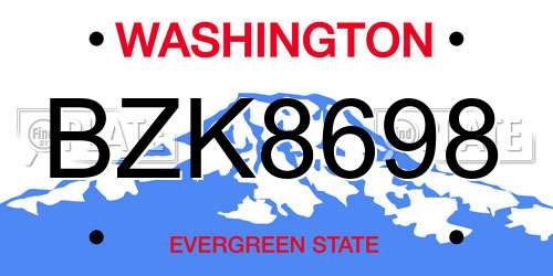 BZK8698 Washington License Plate