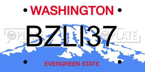 BZLI37 Washington License Plate