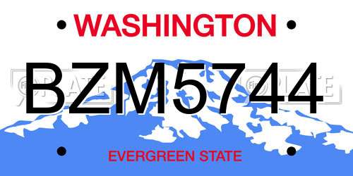 BZM5744 Washington License Plate