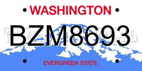 BZM8693 Washington License Plate