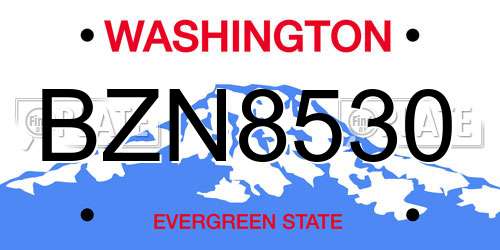 BZN8530 Washington License Plate