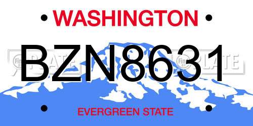 BZN8631 Washington License Plate