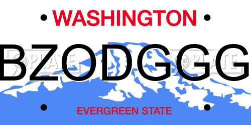 BZODGGG Washington License Plate