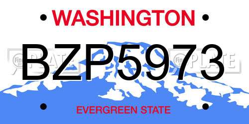 BZP5973 Washington License Plate