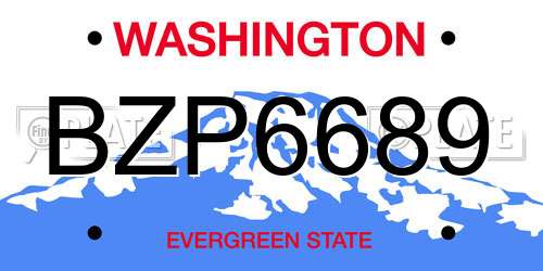 BZP6689 Washington License Plate
