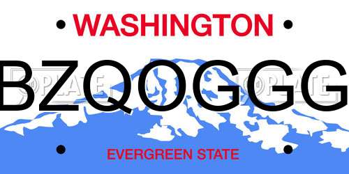 BZQOGGG Washington License Plate