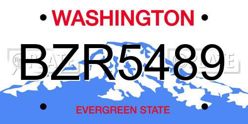 BZR5489 Washington License Plate