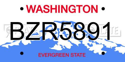 BZR5891 Washington License Plate