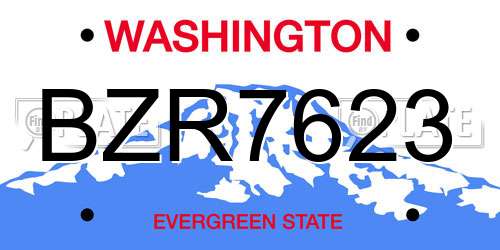 BZR7623 Washington License Plate