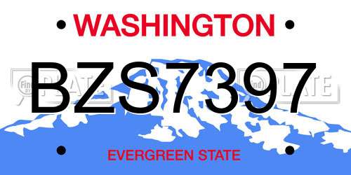 BZS7397 Washington License Plate