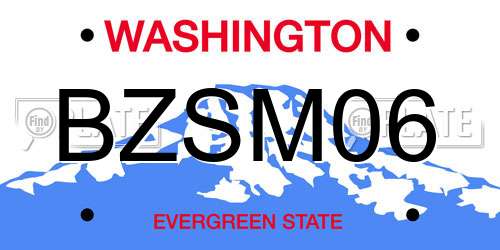 BZSM06 Washington License Plate
