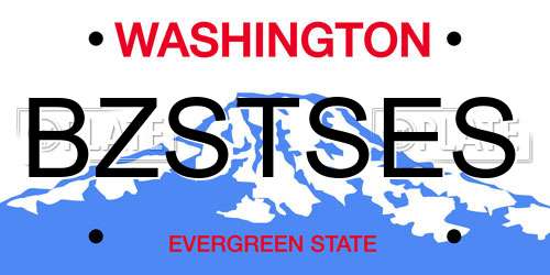 BZSTSES Washington License Plate