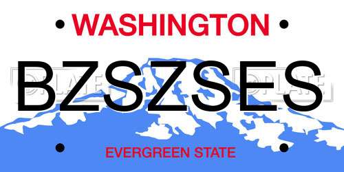 BZSZSES Washington License Plate