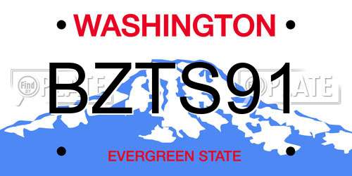 BZTS91 Washington License Plate