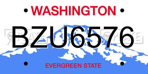 BZU6576 Washington License Plate