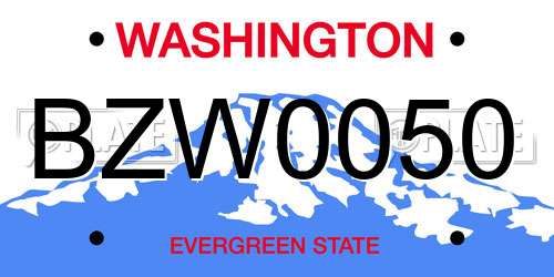 BZW0050 Washington License Plate