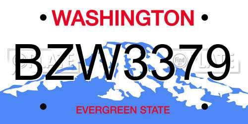 BZW3379 Washington License Plate