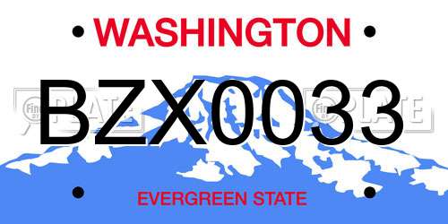 BZX0033 Washington License Plate