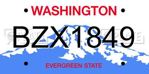 BZX1849 Washington License Plate