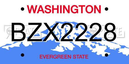 BZX2228 Washington License Plate