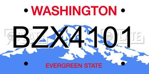 BZX4101 Washington License Plate