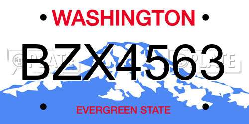 BZX4563 Washington License Plate