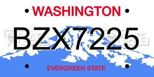 BZX7225 Washington License Plate