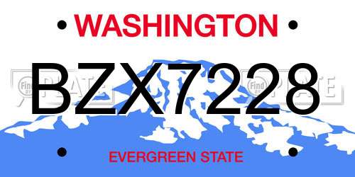 BZX7228 Washington License Plate
