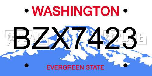 BZX7423 Washington License Plate