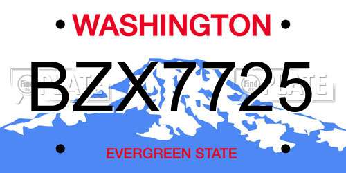 BZX7725 Washington License Plate