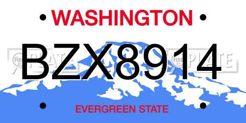 BZX8914 Washington License Plate