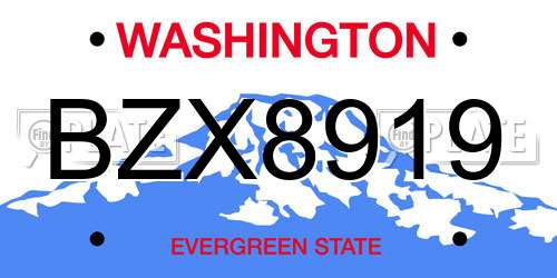 BZX8919 Washington License Plate
