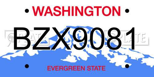 BZX9081 Washington License Plate