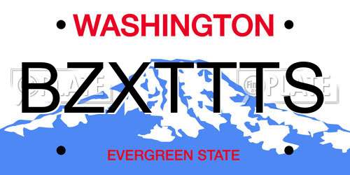 BZXTTTS Washington License Plate