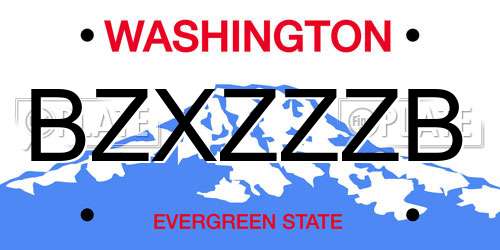 BZXZZZB Washington License Plate