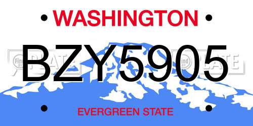 BZY5905 Washington License Plate