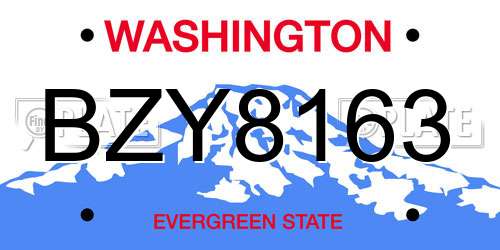 BZY8163 Washington License Plate