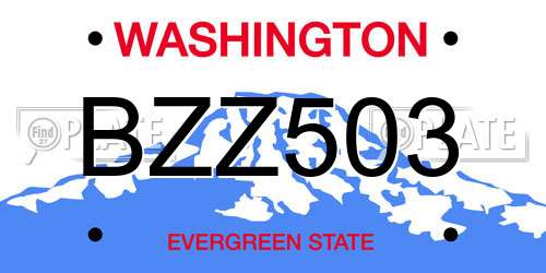 BZZ503 Washington License Plate