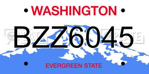BZZ6045 Washington License Plate