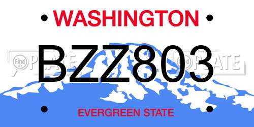BZZ803 Washington License Plate