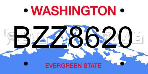 BZZ8620 Washington License Plate