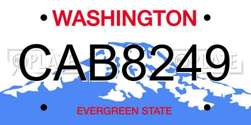 CAB8249 Washington License Plate