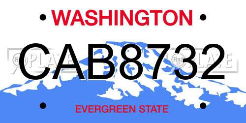 CAB8732 Washington License Plate